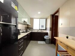 Central Green Condominium (D3), Condominium #556183221